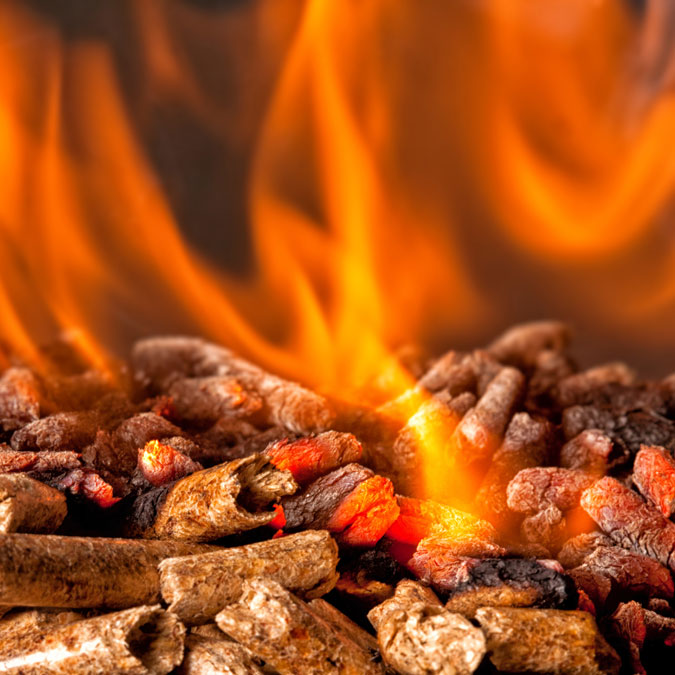 Fireplace Specialties BBQ Outdoor - Pellets